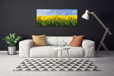 Photo sur toile Tulipes floral jaune vert