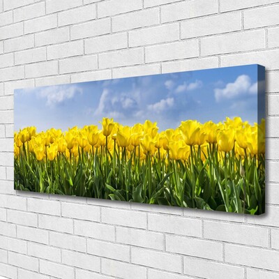 Photo sur toile Tulipes floral jaune vert