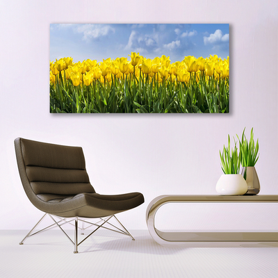 Photo sur toile Tulipes floral jaune vert