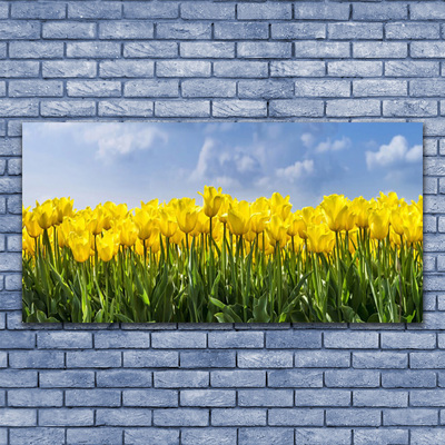 Photo sur toile Tulipes floral jaune vert