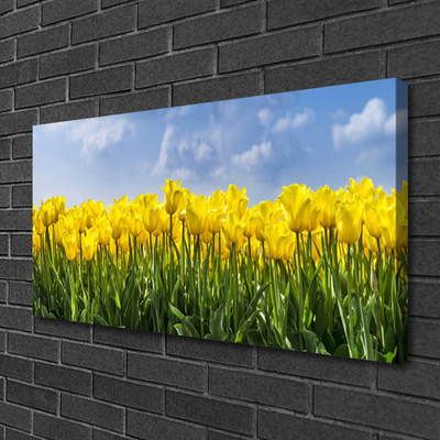 Photo sur toile Tulipes floral jaune vert