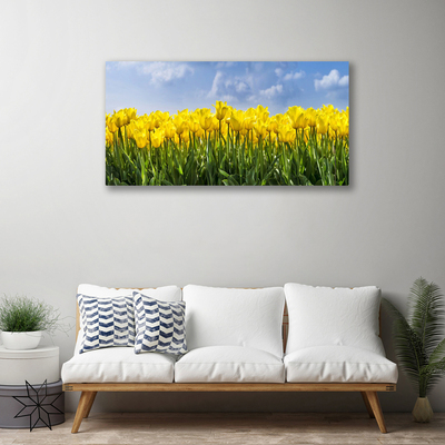 Photo sur toile Tulipes floral jaune vert