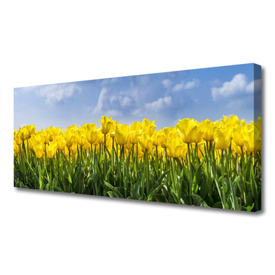 Photo sur toile Tulipes floral jaune vert