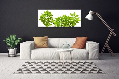Photo sur toile Branches feuilles floral brun vert