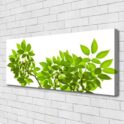 Photo sur toile Branches feuilles floral brun vert