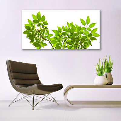 Photo sur toile Branches feuilles floral brun vert