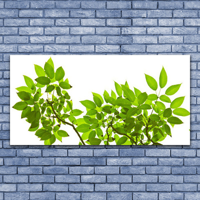 Photo sur toile Branches feuilles floral brun vert