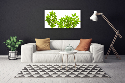 Photo sur toile Branches feuilles floral brun vert