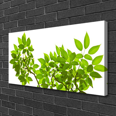 Photo sur toile Branches feuilles floral brun vert