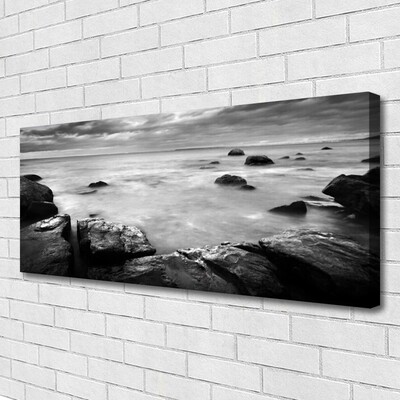 Photo sur toile Roche mer paysage gris