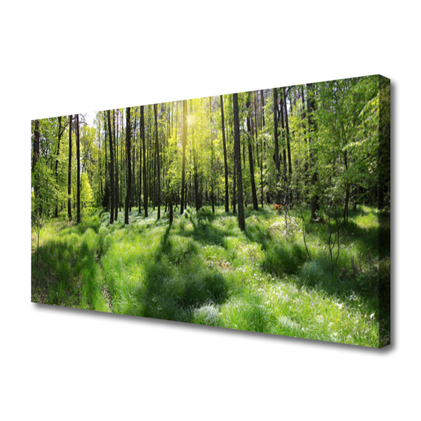 Photo sur toile Forêt nature brun vert