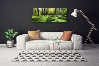 Photo sur toile Forêt nature brun vert