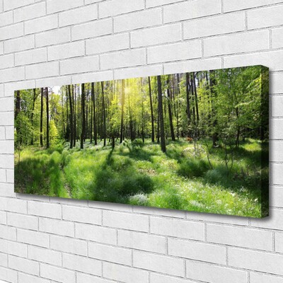 Photo sur toile Forêt nature brun vert