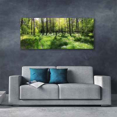 Photo sur toile Forêt nature brun vert