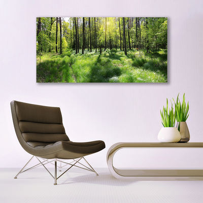 Photo sur toile Forêt nature brun vert