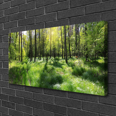 Photo sur toile Forêt nature brun vert