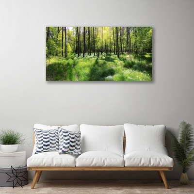 Photo sur toile Forêt nature brun vert