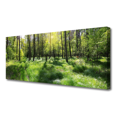 Photo sur toile Forêt nature brun vert