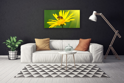 Photo sur toile Fleur guêpe floral noir jaune