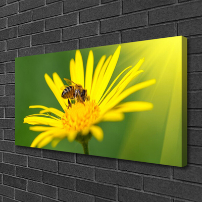 Photo sur toile Fleur guêpe floral noir jaune