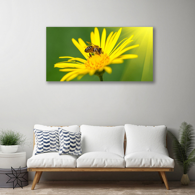 Photo sur toile Fleur guêpe floral noir jaune
