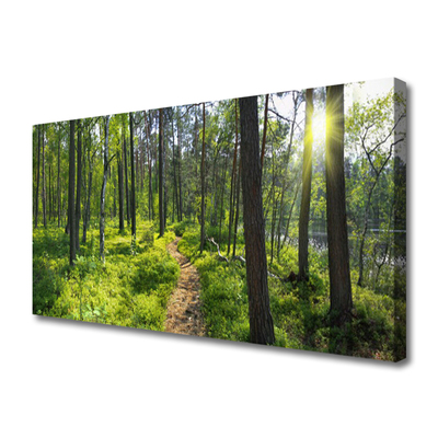 Photo sur toile Forêt nature brun vert