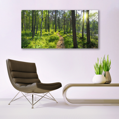 Photo sur toile Forêt nature brun vert