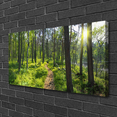 Photo sur toile Forêt nature brun vert