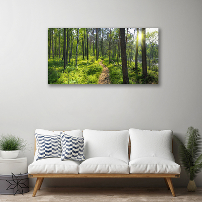 Photo sur toile Forêt nature brun vert