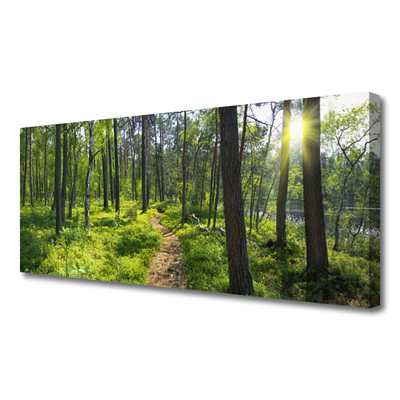 Photo sur toile Forêt nature brun vert