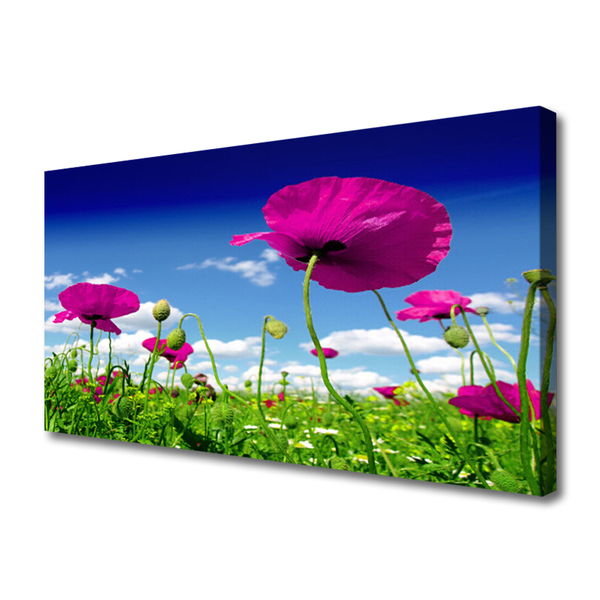 Photo sur toile Fleurs prairie nature rouge vert