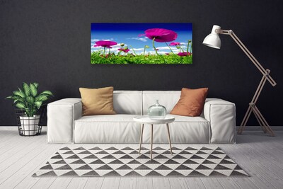 Photo sur toile Fleurs prairie nature rouge vert