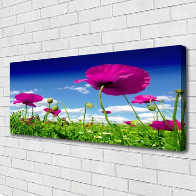 Photo sur toile Fleurs prairie nature rouge vert