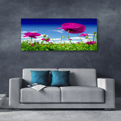 Photo sur toile Fleurs prairie nature rouge vert