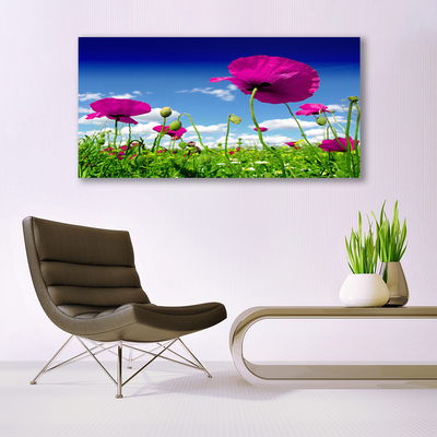 Photo sur toile Fleurs prairie nature rouge vert