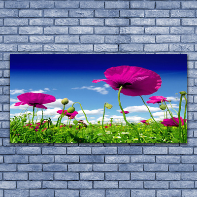 Photo sur toile Fleurs prairie nature rouge vert