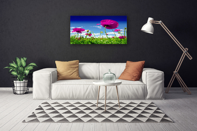 Photo sur toile Fleurs prairie nature rouge vert