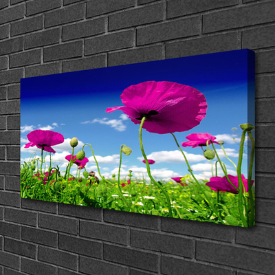 Photo sur toile Fleurs prairie nature rouge vert