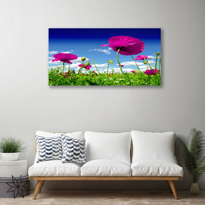 Photo sur toile Fleurs prairie nature rouge vert