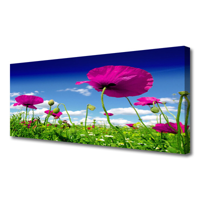 Photo sur toile Fleurs prairie nature rouge vert