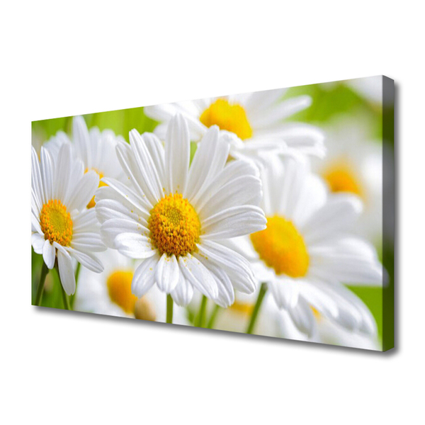 Photo sur toile Marguerite floral jaune blanc