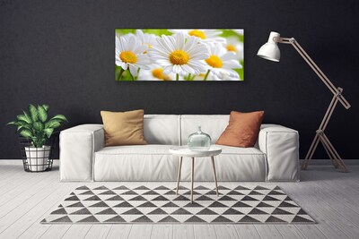 Photo sur toile Marguerite floral jaune blanc