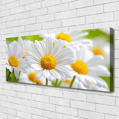 Photo sur toile Marguerite floral jaune blanc