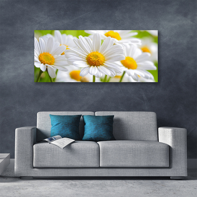 Photo sur toile Marguerite floral jaune blanc