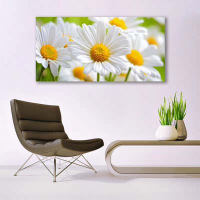 Photo sur toile Marguerite floral jaune blanc