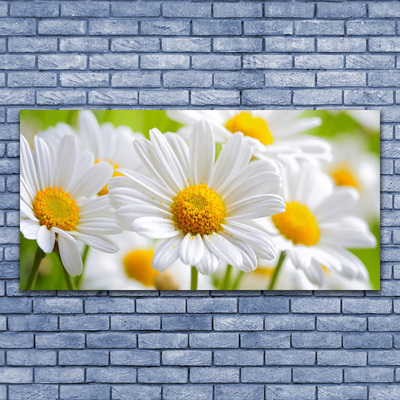 Photo sur toile Marguerite floral jaune blanc