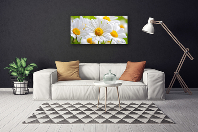 Photo sur toile Marguerite floral jaune blanc