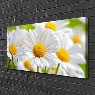 Photo sur toile Marguerite floral jaune blanc