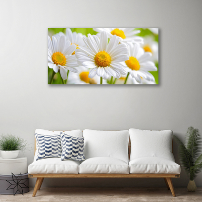 Photo sur toile Marguerite floral jaune blanc