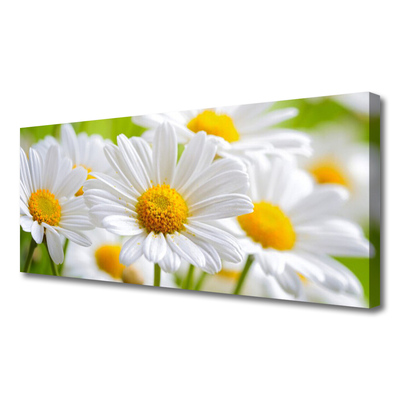 Photo sur toile Marguerite floral jaune blanc